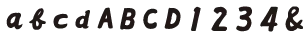 白洲体